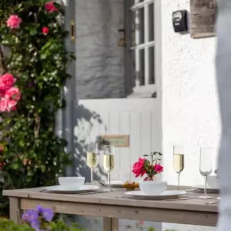 Geranium * Port Isaac
